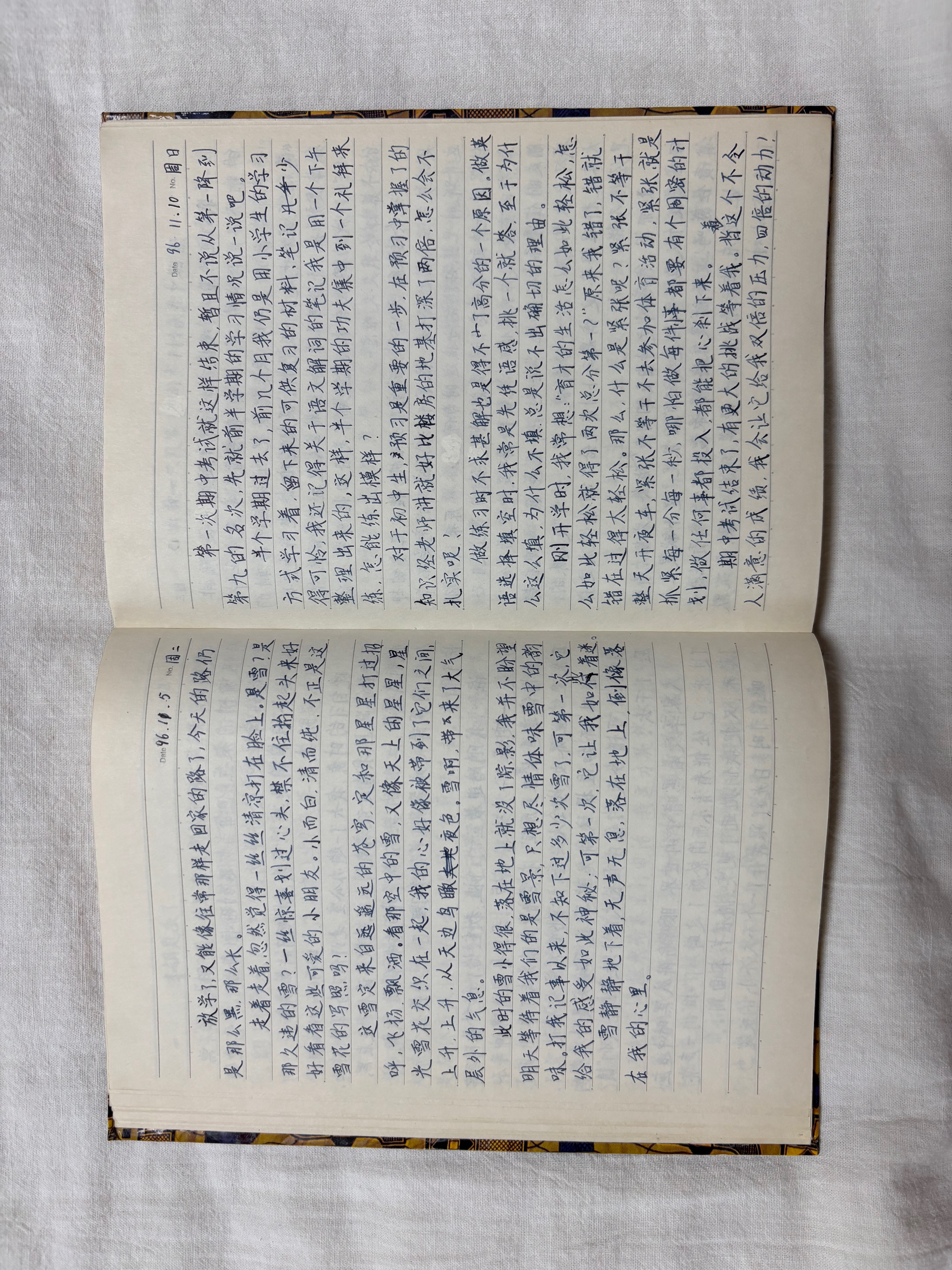 1996年11月10日，《期中反思》，当时留下的日记原页。