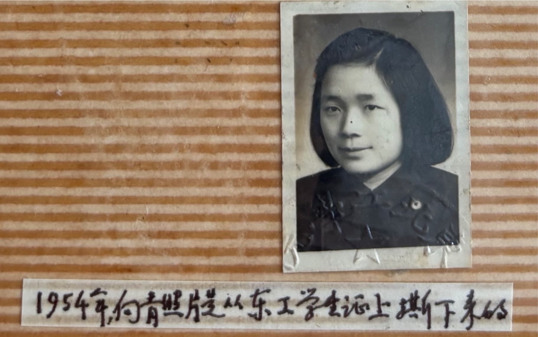 向青1954年学生证照片，保留原题注。